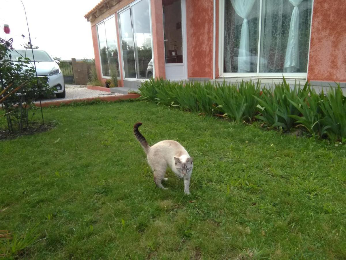 Bleu Du Sud Villa Rigarda Eksteriør billede